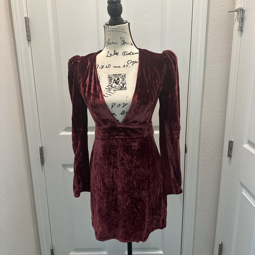 Express Long Sleeve Velvet Dress